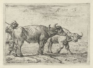 Dos búfalos y un pastor de Pieter van Laer