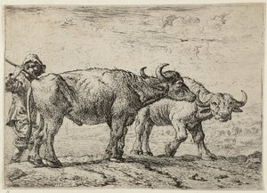 Dos búfalos y un pastor de Pieter van Laer