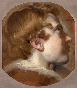 Cabeza de un Niño Joven, c.1620