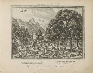 Schepping van de la mente Divinidad perfilada en humanidad (título sobre objeto) Los emblemas sagrados y las principales historias de ambos testamentos (Oude Testament) (título de la serie) Imágenes y figuras de libros (título de la serie) de Pieter van der Borcht (I)