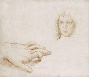 Estudios de una cabeza y una mano de Pietro (circle of) Perugino