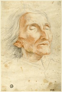 Cara de un anciano con los ojos cerrados de Pietro Dandini