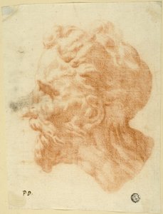 Cabeza de hombre barbudo de perfil a la izquierda de Pietro Dandini