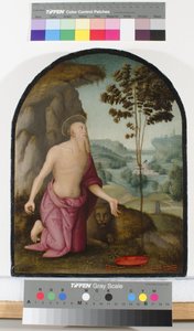 San Jerónimo en el desierto, c.1510-15 de Pietro Perugino
