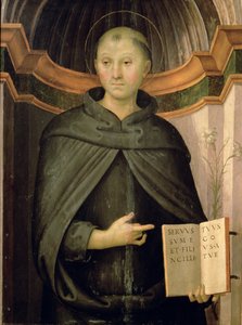 San Nicolás de Tolentino