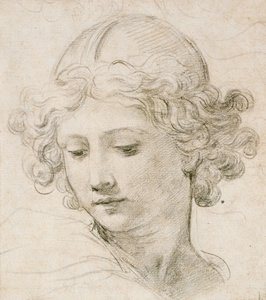 Cabeza de un ángel, mirando hacia abajo a la izquierda de Pietro da Cortona