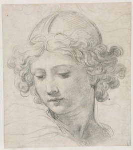 Study for the Head of St. Michael de Pietro da Cortona