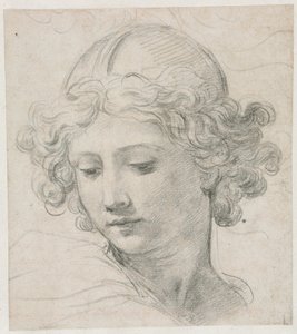 Estudio para la Cabeza de San Miguel, 1633 de Pietro da Cortona