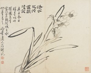 Paisajes, flores y pájaros: Narciso, Dinastía Qing de Luo Ping