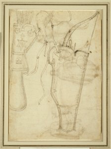 Funda de arco y carcaj de flechas