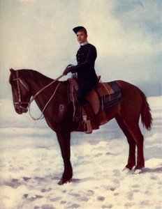 El caballo de Strathcona