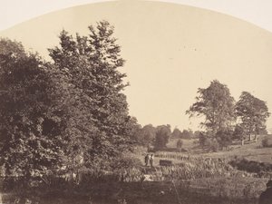 El arroyo del bosque, 1856 de Plunket