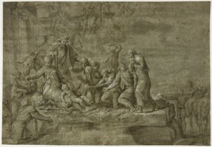 Adoración de los pastores de Polidoro da Caravaggio