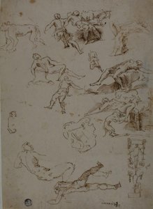 Bocetos de desnudos masculinos, animales y detalles ornamentales de Polidoro da Caravaggio