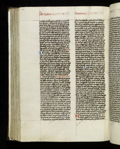 Página 304 del Libro 20 de 