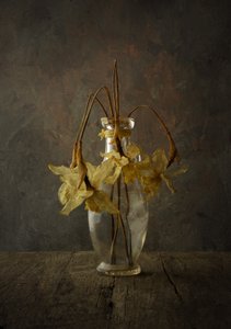 Naturaleza muerta floral de Moody de Popa Kornel Andras