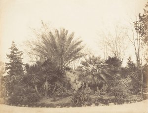 Jardín Pinciano, Roma, 1853-56 de Possibly by Jane Martha St. John.