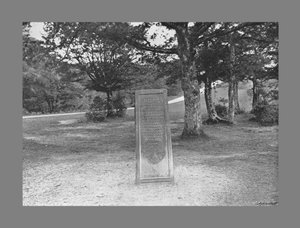 Piedra de Rufus, Nuevo Bosque Hants, c1900 de Poulton and Co