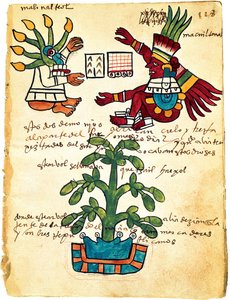 Árbol de cacao del Códice Tudela, 1553 de Pre Columbian art