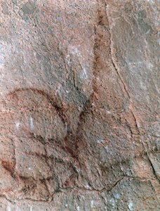  de Prehistoric Prehistoric