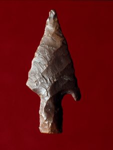 Antigüedad egipcia: punta de flecha del sitio de Fayoum en Egipto. Período predinástico. Verona, Museo Civico di Storia Naturale, Italia