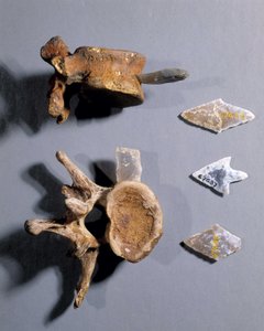 Sílex con hueso prehistórico, Museo de Antigüedades Nacionales