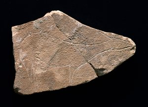 Petroglifo que representa un ciervo, Cueva de Parpalló, España. Paleolítico superior, Solutrense (grabado)