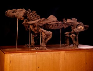 Prehistoria; dinosaurios: esqueleto de ictiosaurio de Prehistoric Prehistoric