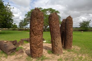 Prehistoria: Círculo megalítico de piedras de Wassu, Gambia (foto)