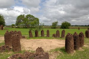 Prehistoria: Círculo megalítico de piedras de Wassu, Gambia (foto)