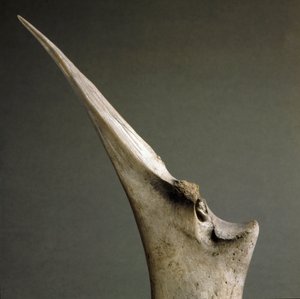 Prehistoria, cultura de Polada: punta de hueso de la turbera de Polada, Lonato. Edad del Bronce. Roma, Museo Nazionale Preistorico Etnografico Luigi Pigorini