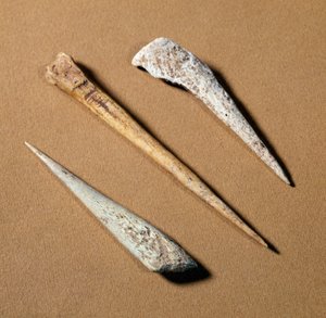 Prehistoria: perca de hueso del Paleolítico