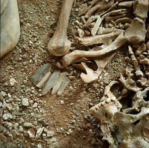 Prehistoria: doble sepultura de adultos y niños. (detalle)
