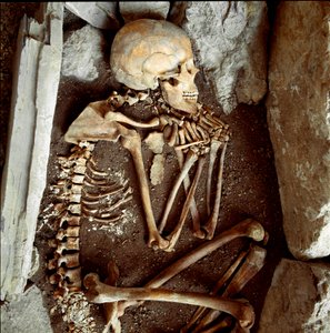 Prehistoria: esqueleto femenino de la cueva de Arene Candide (Finale Ligure). Edad de Piedra, Neolítico. Génova, Museo de Arqueología Ligure de Prehistoric Prehistoric