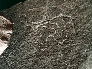 Prehistoria, arte rupestre: una roca con la representación de un ganado. Estilo Tazina. Edad de Piedra 5000-2000 a.C. Taghit, Alto Plateau del Hoggar (Ahaggar), Argelia