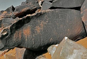 Prehistoria, arte rupestre: roca funeraria con representación de ganado