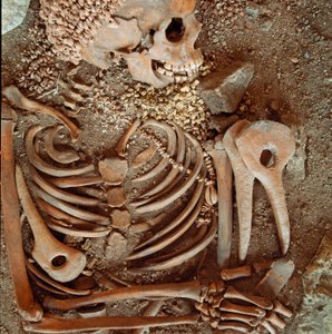 Prehistoria: esqueleto y ajuar funerario de adolescentes llamado del joven príncipe de la cueva de Arene Candide (Finale Ligure): collar de conchas, cuerno de ciervo y sílex. Edad de Piedra, Paleolítico Superior. Génova, Museo de Arqueología Ligure de Prehistoric Prehistoric