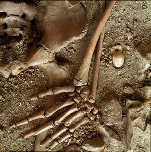 Prehistoria: sepultura de adolescente. Vista detallada del ajuar funerario de la cueva de Arene Candide (Finale Ligure), Liguria. Paleolítico Superior, 24000 a.C. Génova, museo di archeologia ligure de Prehistoric Prehistoric