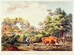 Garza Imperial, de 