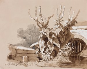 Estudio de plantas junto a una zanja, con adiciones de un instructor, 1856 de Prince Gaetano Maria Federico di Borbone