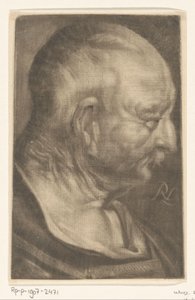Cabeza de un anciano de Prinz Ruprecht