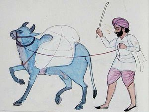 Lavandero (Dhobi) c.1890 de Punjabi School