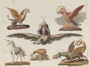 Libro de imágenes para niños Enciclopedia infantil de Friedrich Johann Justin Bertuch, 1798-1830