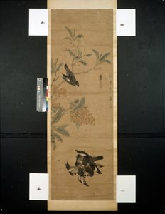 pájaros y rama