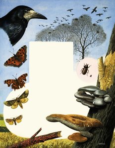 Animales atraídos por los olmos, como grajos y mariposas
