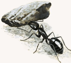 Pequeños monstruos: La hormiga poderosa