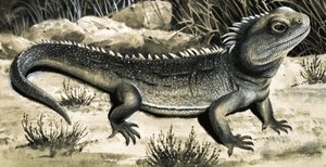 La Tuatura