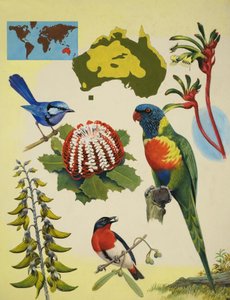 Fauna de Australia