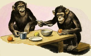 Z de Zoo. La fiesta del té del chimpancé