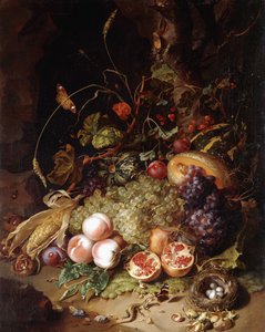 Naturaleza muerta con frutas e insectos de Rachel Ruysch